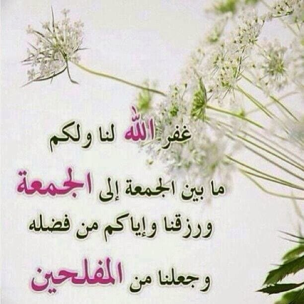 sami6794's tweet photo. جعل الله جمعتكم غفراناً لزلّات أسبوع مضى، وفاتحة خير لأسبوع أتى. اللّهم يا من أنزلت من سمائك مطراً، وأخرجت من أرضك شجراً، افتح باب رزقك وتوفيقك لأحبّتي، واجعل من نور وجهك الكريم مِصباحاً يضيء الدّرب لقارئ رسالتي، وبارك الله جمعتك وسائر أيّامك.

 #يوم_Iلجمعه https://t.co/hsJ37dwN2T
