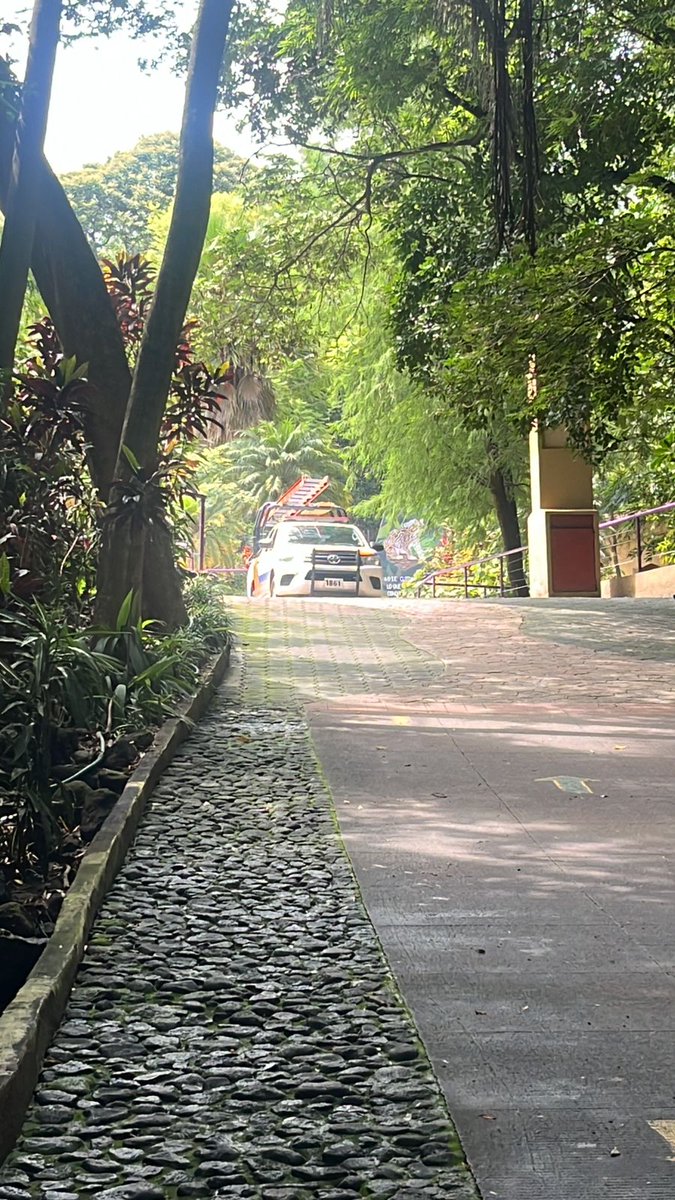 AnpSds's tweet photo. Para seguir garantizando la seguridad de todos los que coincidimos en esta majestuosa área natural protegida, este viernes, suspenderemos el acceso, mientras realizamos las maniobras necesarias. ¡Gracias por su comprensión!
https://t.co/Yl0hkwb3J5 https://t.co/CQYryZDNWX