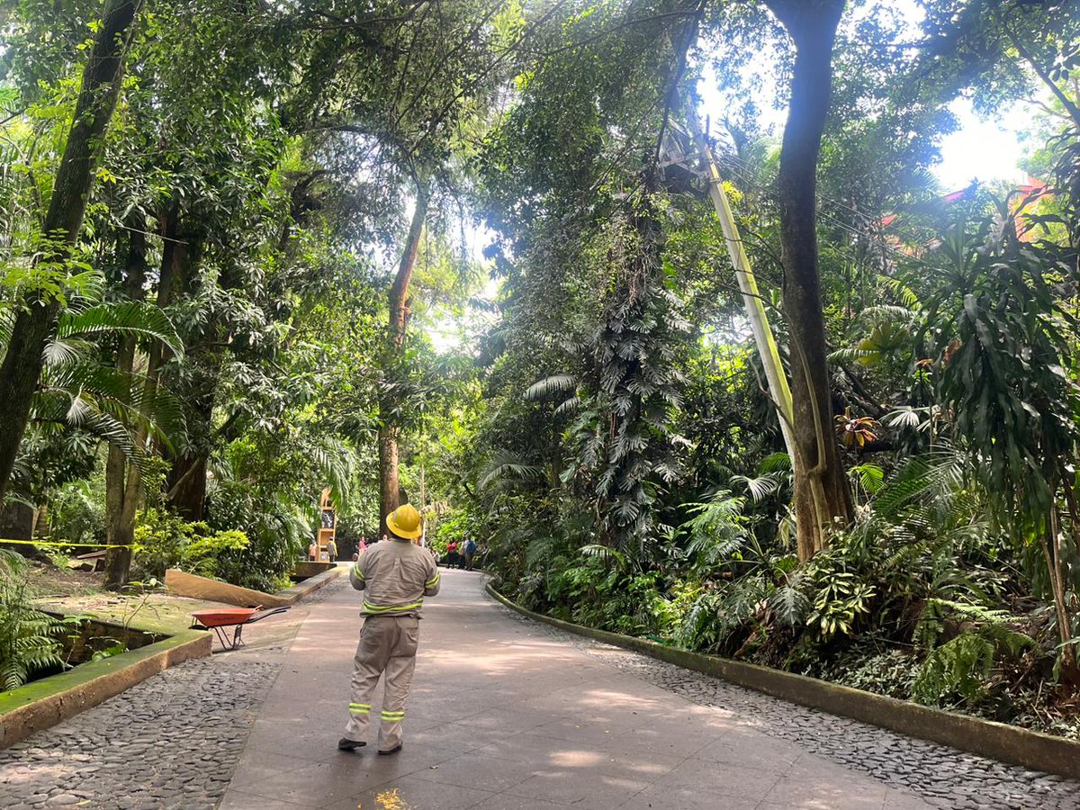 AnpSds's tweet photo. Para seguir garantizando la seguridad de todos los que coincidimos en esta majestuosa área natural protegida, este viernes, suspenderemos el acceso, mientras realizamos las maniobras necesarias. ¡Gracias por su comprensión!
https://t.co/Yl0hkwb3J5 https://t.co/CQYryZDNWX