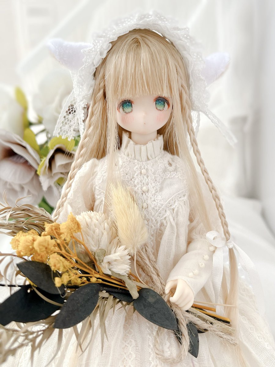 ⭐️リリィ♡⭐️ Amazon.co.jp: リリィ・リリィ・ラ・ラ・ランド 1 (MFC キューン