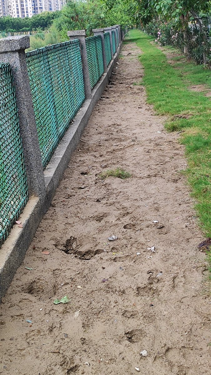 #Noida 
Sec 77 opposite antakrish forest 
 पहले भी निवेदन किया था फिर से कर रहे हैं की मिट्टी को अच्छे से डालना होगा नहीं तो डस्ट फ्री से मिट्टी निकलती जाएगी फिर खराब हो जाएगी मिट्टी किनारे पर पड़ी है उसको यहां डलवा दीजिए, घास लगवा दीजिए
<a href="/CeoNoida/">CEO, NOIDA Authority</a> <a href="/CPCB_OFFICIAL/">Central Pollution Control Board</a> <a href="/noida_authority/">NOIDA Authority</a>