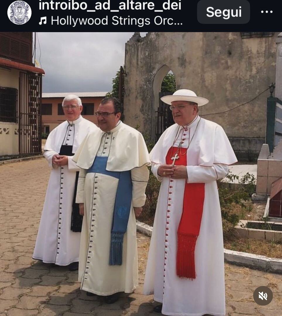 messainlatino's tweet photo. Buon’estate! #cardinalburke #icrss Foto di @introibo_ad_altare_dei https://t.co/WS9wAT1fWk