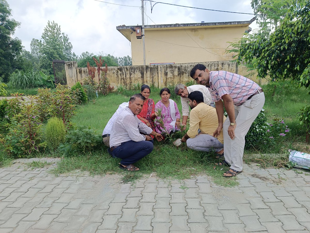 Priyanka tweet media