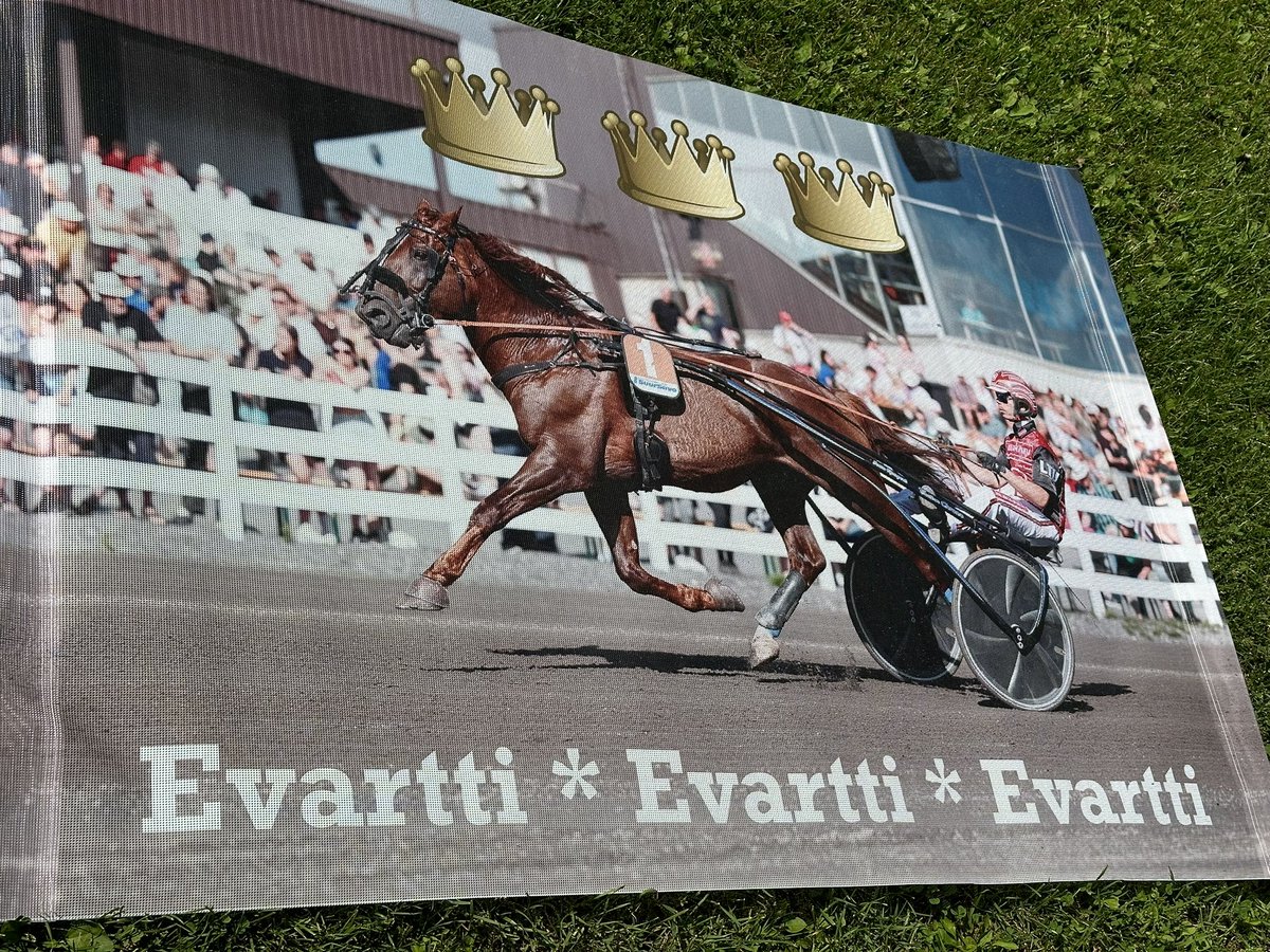 Laiska77's tweet photo. Jaahas, se olis taas se aika vuodesta! @Kunkkarit tänä vuonna Jyväskylässä! #ravit #Evartti #parastapaikanpäällä https://t.co/qKVGeVFNb6