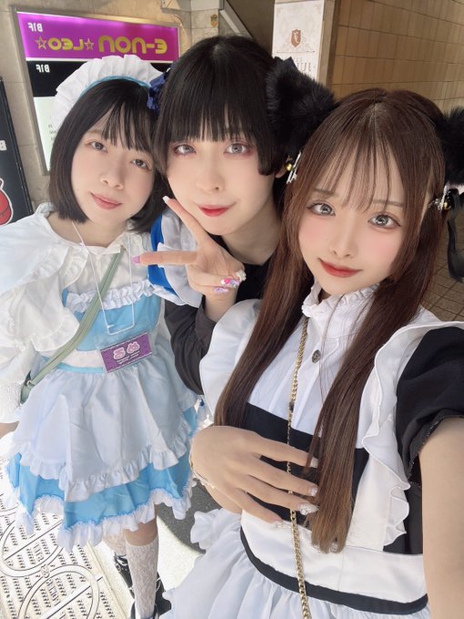 COLORFULCAT のツイート
