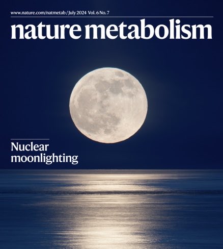 Ayelet Erez tweet media