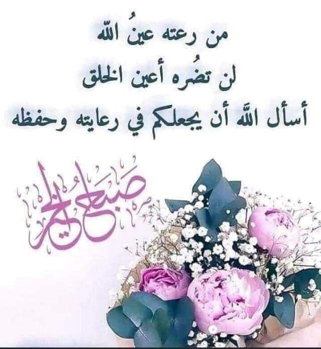 alanik99's tweet photo. @alplooshih https://t.co/rPSRReHuYr