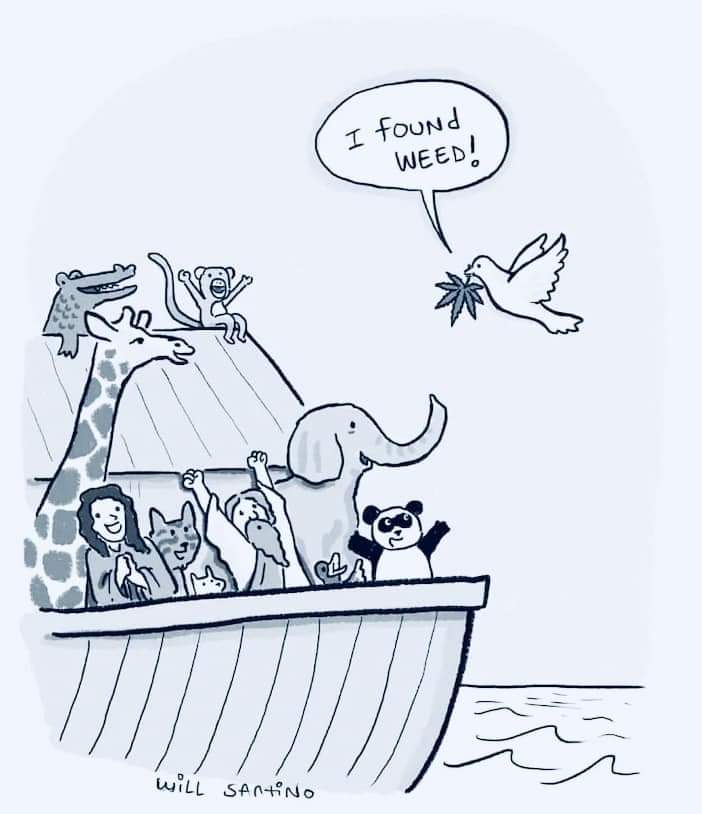 It all makes sense now.