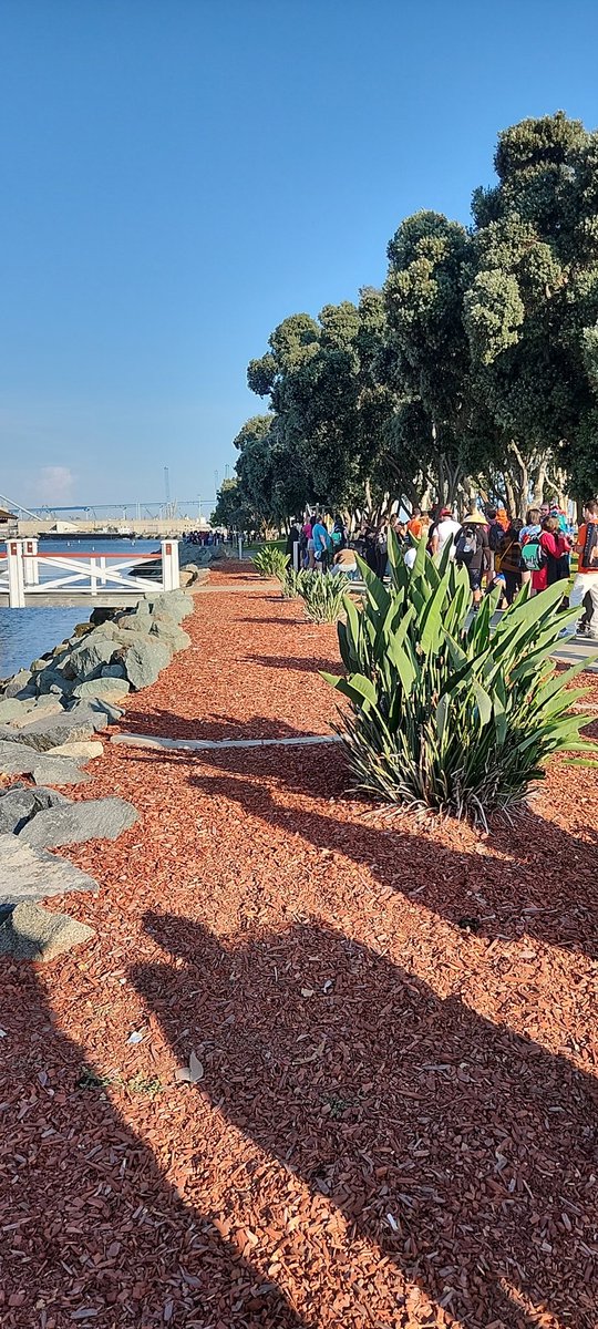 davidrfong's tweet photo. They added a line break at the embarcadero just next to Joe's. Unsure what's going on. @SD_Comic_Con @HallHLine https://t.co/vRw2NasP7m