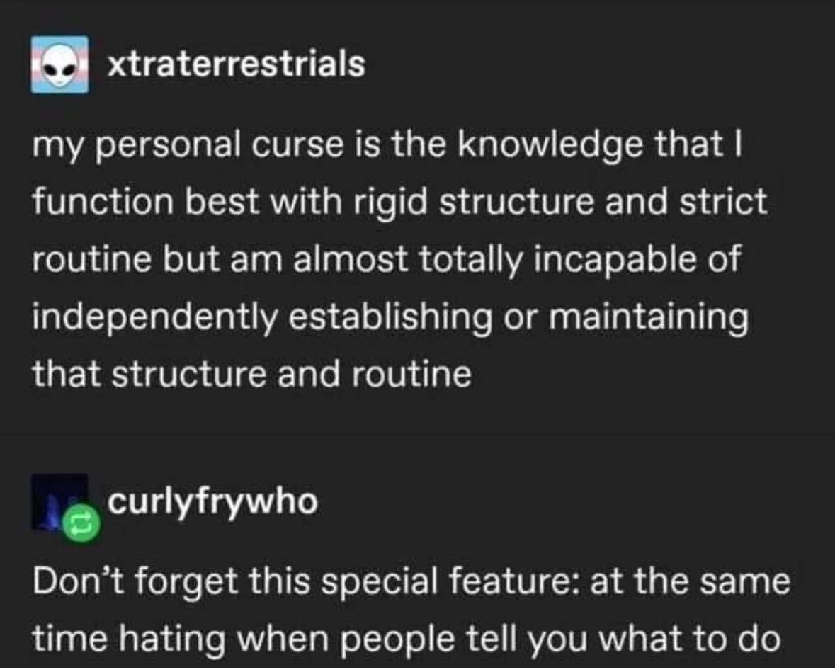 ADHD Memes tweet media