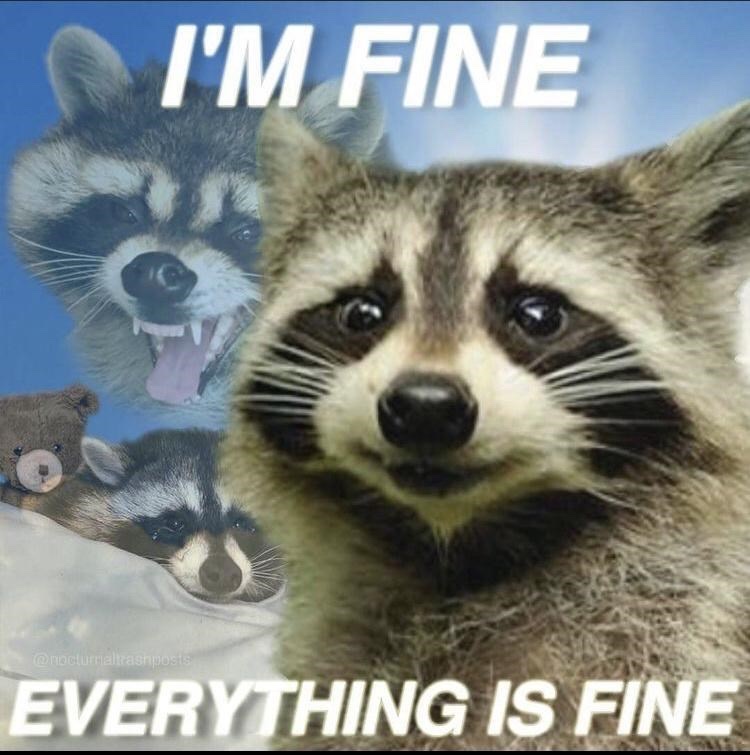 raccoon aesthetic. tweet media