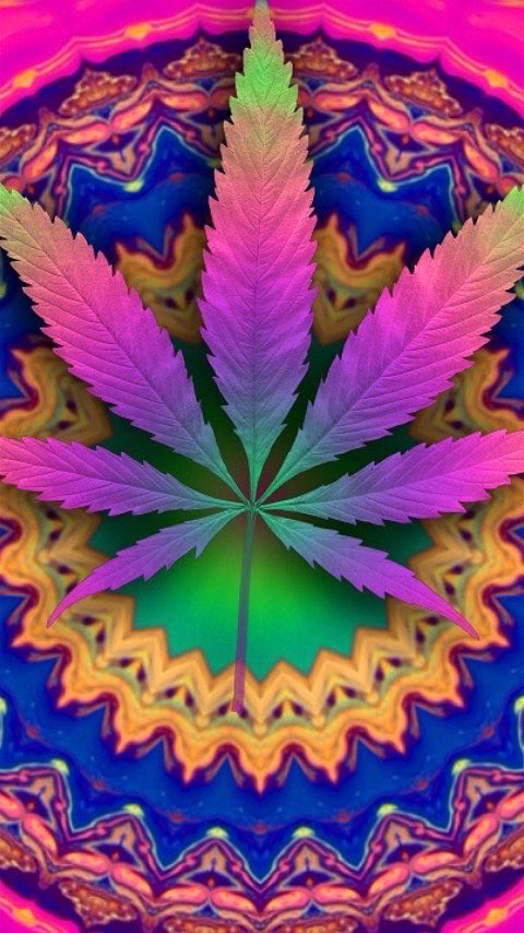 Neptunej7's tweet photo. Bong rips for the world!#stonerlife 💚 🌱 🍃 💨 💨 #NeptuneHighThoughts https://t.co/ylgaIqm2t2