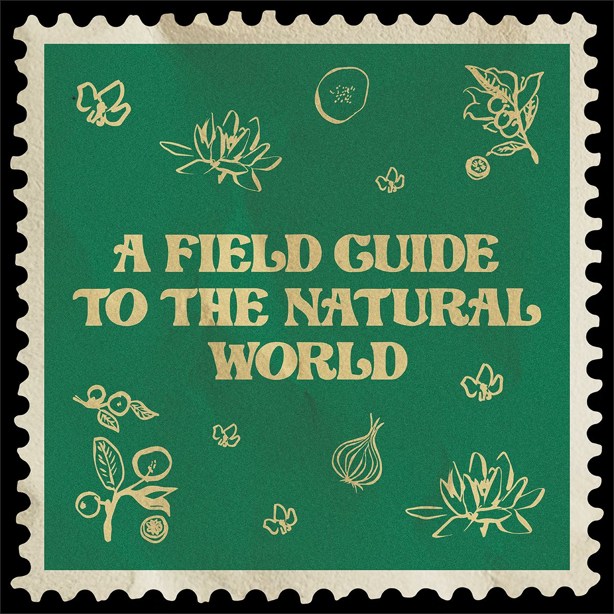 Asian CineVision tweet media