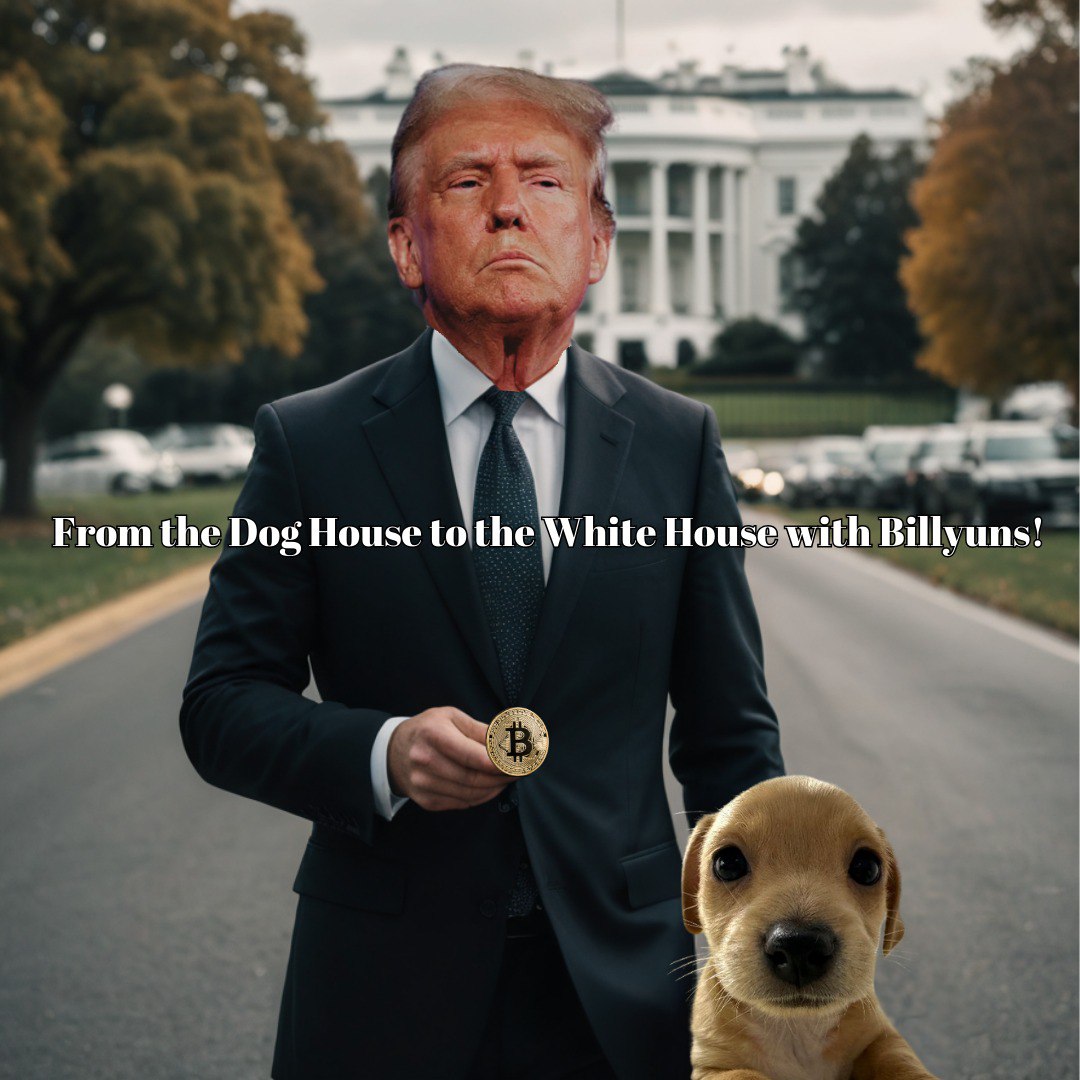 ShibaInuWarri0r's tweet photo. @truthsarepainf1 @thisisdjen Love it! We doing thing right here! $BYUNS #Billyuns https://t.co/Z2OYw03wg2