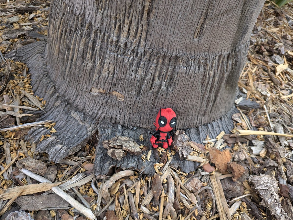 JohnnyDanger010's tweet photo. I've planted these little guys at various spots around the convention. If anyone grabbed one, I'd love to hear it. #sdcc2024 #deadpool #DeadpoolAndWolverine #finddeadpool https://t.co/wd4BwI1UMH