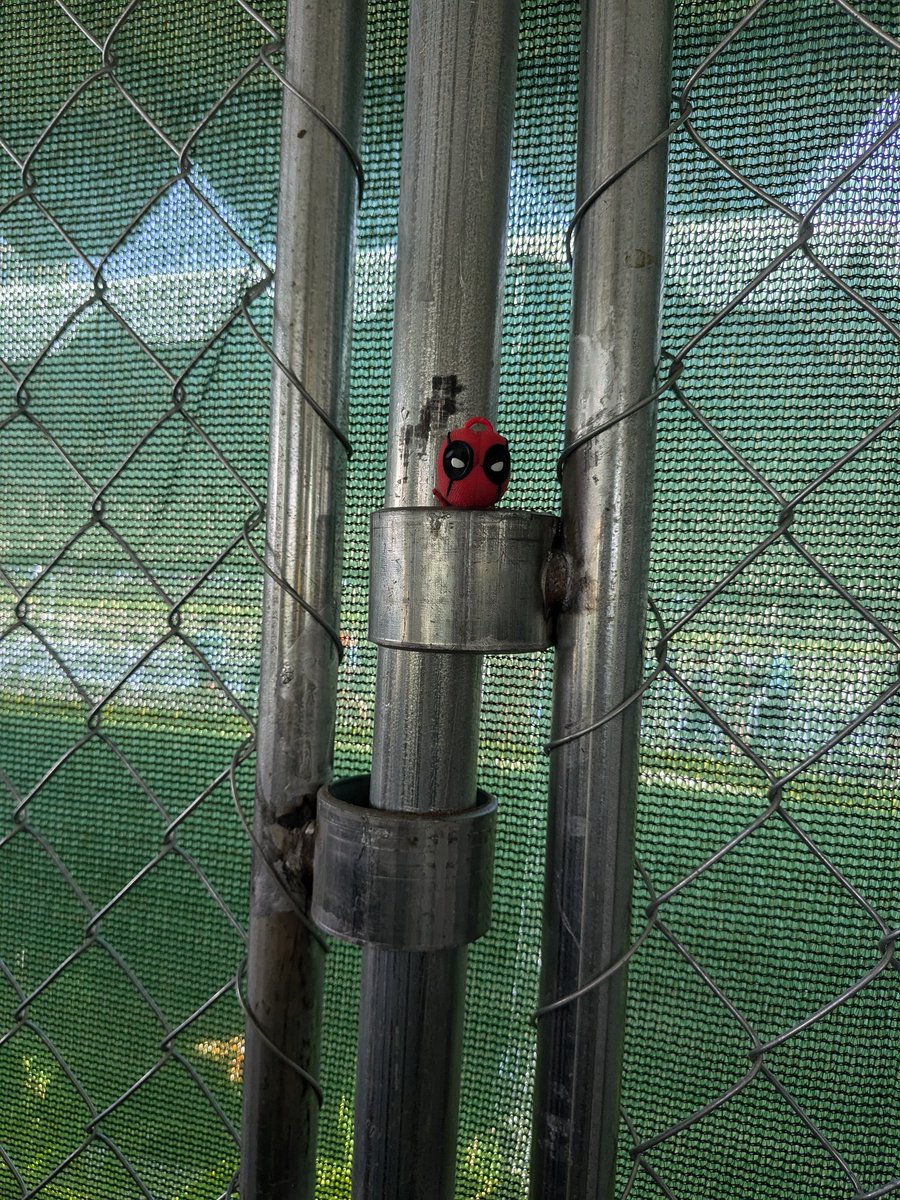 JohnnyDanger010's tweet photo. I've planted these little guys at various spots around the convention. If anyone grabbed one, I'd love to hear it. #sdcc2024 #deadpool #DeadpoolAndWolverine #finddeadpool https://t.co/wd4BwI1UMH