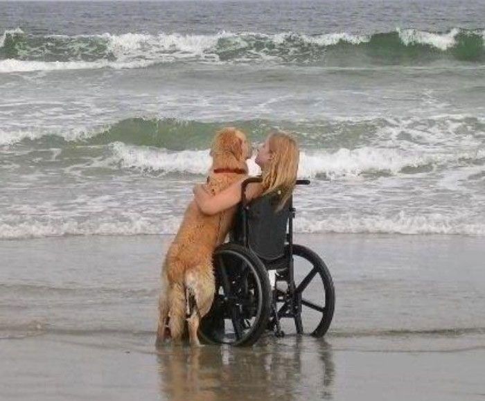 puppiesDoglover's tweet image. 