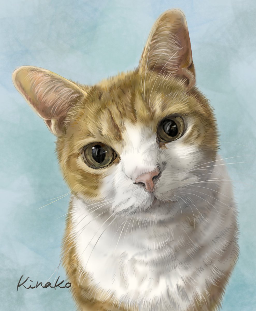 きなこ(猫の絵を描いています) tweet media