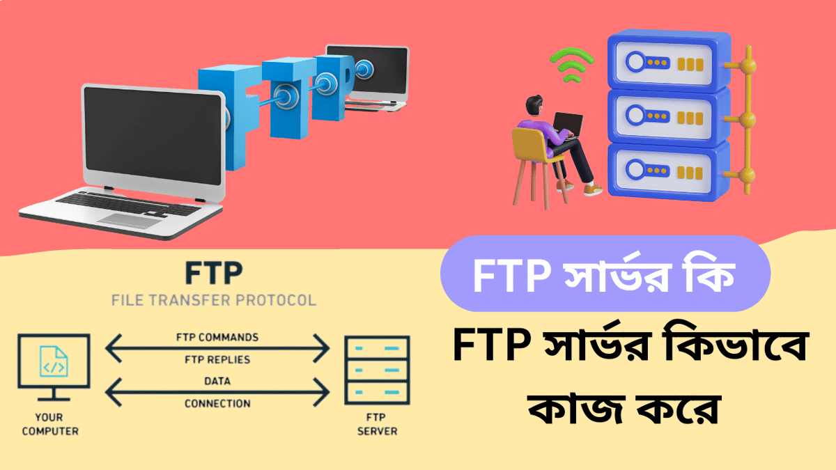 Bangla Nexus Hub tweet media