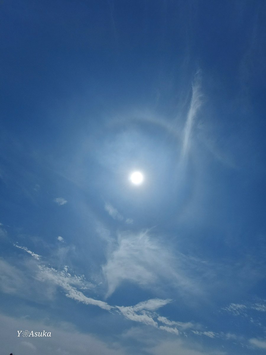 yumeasutw's tweet photo. #青空 に #薄雲 が広がりお日様ギラギラ✨ #ハロ が見える金曜日の朝☀️
予想最高/最低気温🌡️35℃/24℃
晴れのち曇り一時雨☀️→☁️|☔
お洗濯日和👕👖夕方は雲が多くなり俄か雨に御用心⛈️
#イマソラ #いまそら
#巻層雲 #巻雲 #積雲
#空の名前
#天気の図鑑 #雲の超図鑑
#鉄塔
#a2024 #a0726 #a202407 https://t.co/0TgXKq6IMF