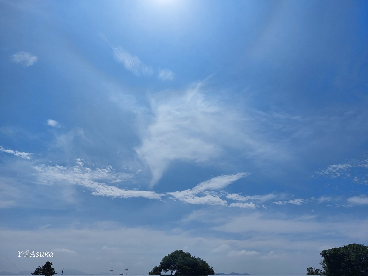 yumeasutw's tweet photo. #青空 に #薄雲 が広がりお日様ギラギラ✨ #ハロ が見える金曜日の朝☀️
予想最高/最低気温🌡️35℃/24℃
晴れのち曇り一時雨☀️→☁️|☔
お洗濯日和👕👖夕方は雲が多くなり俄か雨に御用心⛈️
#イマソラ #いまそら
#巻層雲 #巻雲 #積雲
#空の名前
#天気の図鑑 #雲の超図鑑
#鉄塔
#a2024 #a0726 #a202407 https://t.co/0TgXKq6IMF