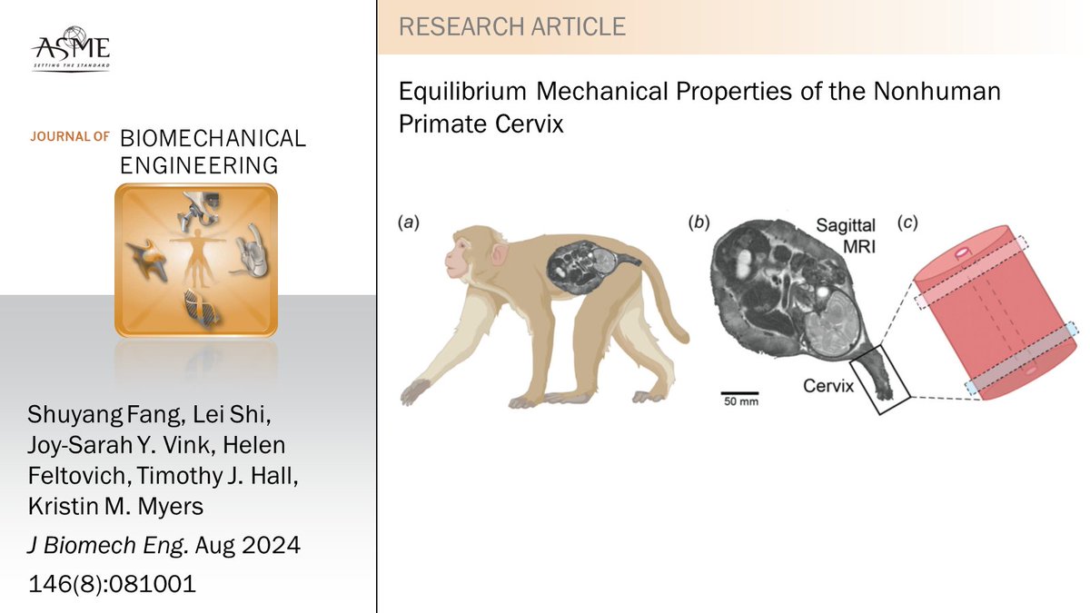 JBME Editors (@jbmejournal) on Twitter photo #newinJBME Latest data from <a href="/kmyerslab/">Kristin Myers</a> <a href="/CUSEAS/">Columbia Engineering</a> reveal the remodeling process of a nonhuman primate cervix and its distinct regimes throughout pregnancy. doi.org/10.1115/1.4064… #newinJBME Latest data from <a href="/kmyerslab/">Kristin Myers</a> <a href="/CUSEAS/">Columbia Engineering</a> reveal the remodeling process of a nonhuman primate cervix and its distinct regimes throughout pregnancy. doi.org/10.1115/1.4064…