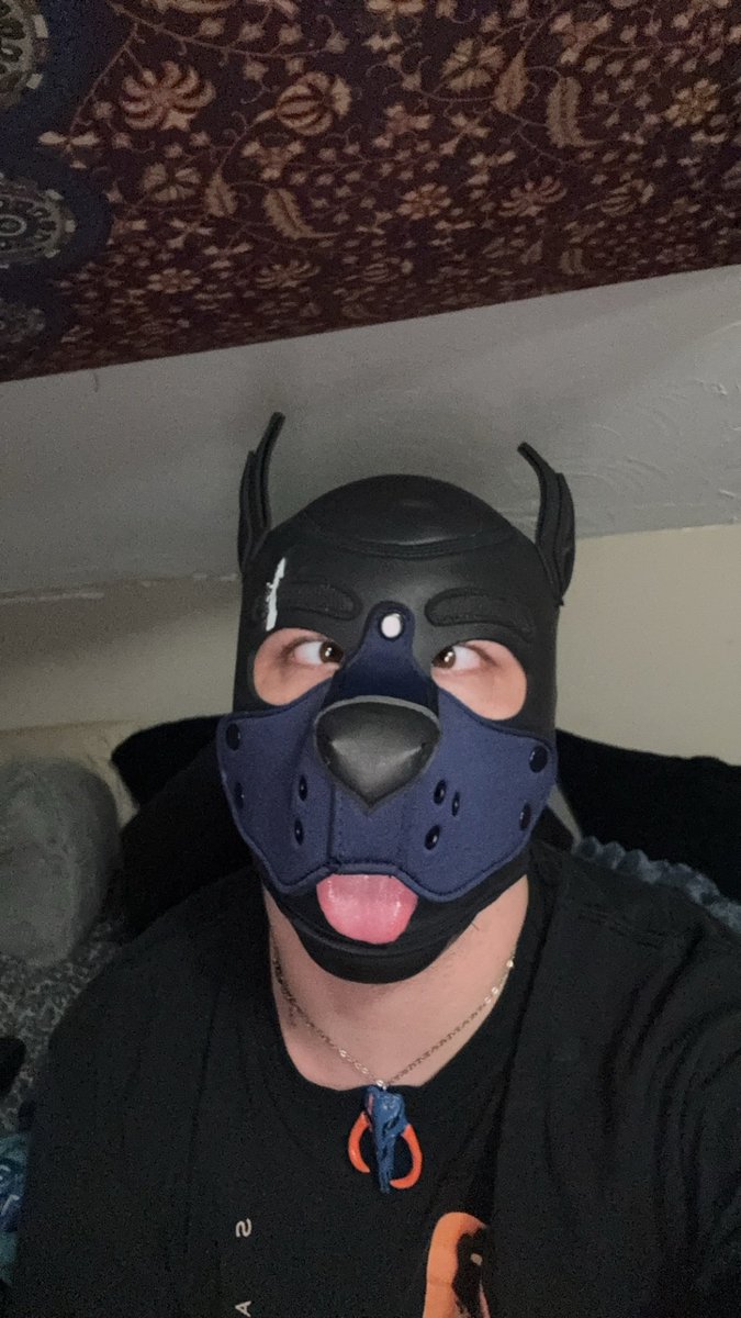 Pupperoni tweet media