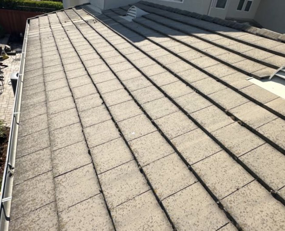 dmitchinson's tweet photo. Getting the roof and patio in shape. Amazing before and after pix from No Moss SoftWash. SO IMPRESSED by the job Chris and his team did. Thanks guys! https://t.co/dL01JNoXTv