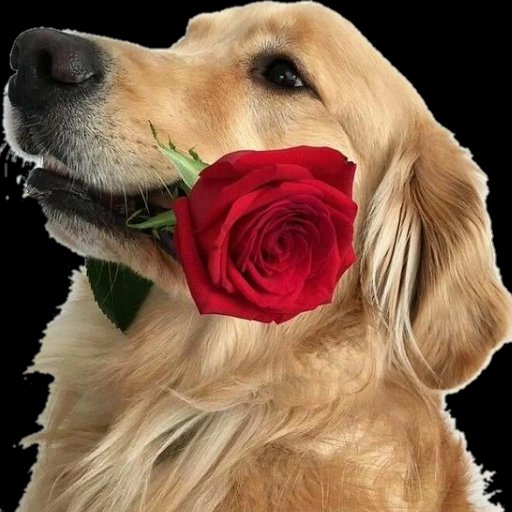 A 16 meses de tu partida al reino de Dios Padre,  nuestro amor sigue uniéndonos amada de mi vida 
 Cuanta falta me hace el no tenerte conmigo #25 de julio #SeguimosUnidos