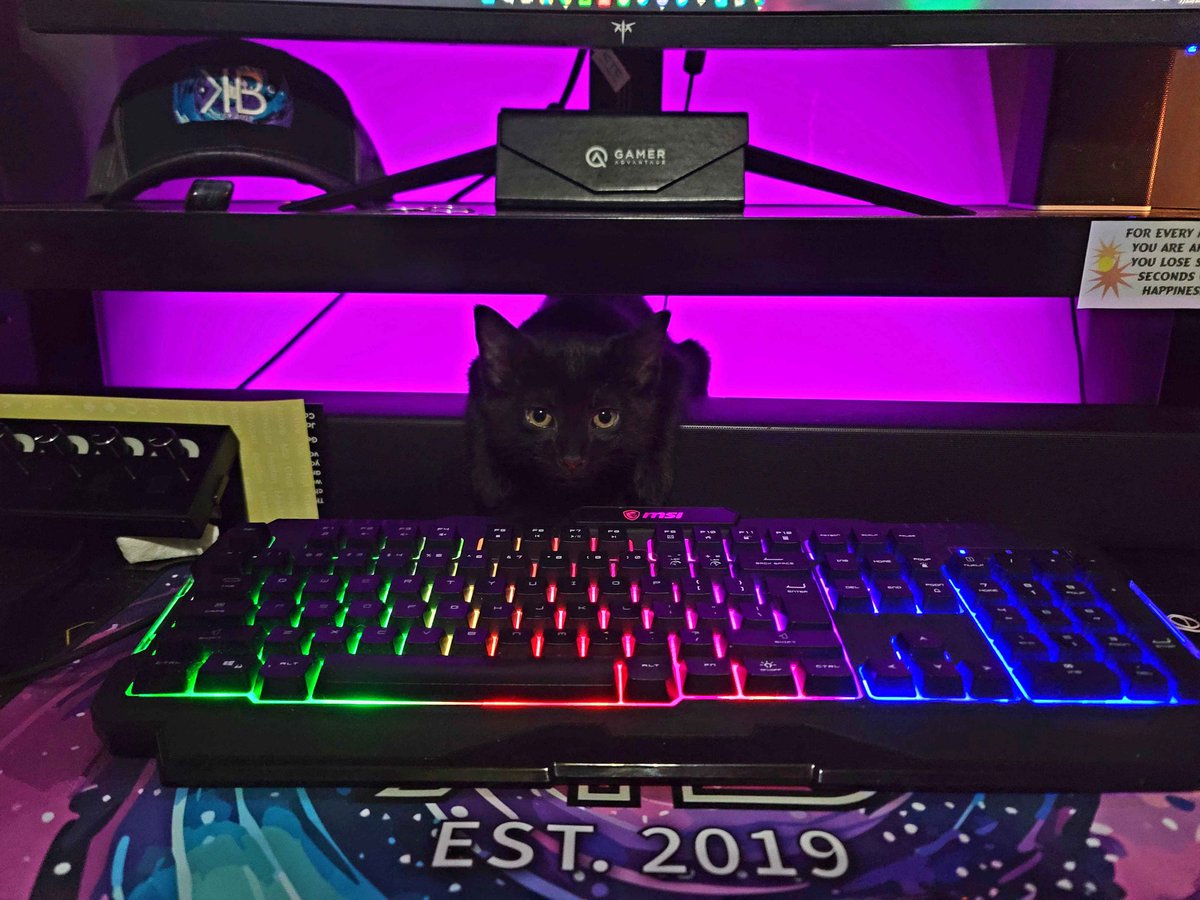 Karmacita_19's tweet photo. ๐ Having a blast playing Plinko with my favorite Hype man @KooterBomb! ๐ Shady was watching the whole time, making sure we kept it epic. ๐๐ฅ #PlinkoFun #EpicMoments #HypeManMagic https://t.co/v0xhx2tg1W