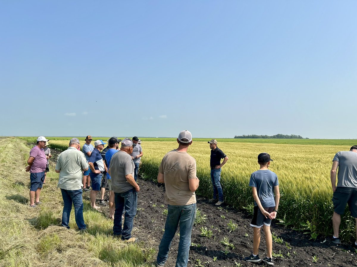 Chad Yanchycki (@chadyanchycki) on Twitter photo My 6th and final tour of the week was <a href="/MannessSeed/">Manness Seed</a> the crops look good and some great conversations today! Also probably the best crop tour meal I’ve ever had! They have the WHOLE line up of <a href="/FPGenetics/">FP Genetics</a> varieties so be sure to give them a call! #FarmingWins My 6th and final tour of the week was <a href="/MannessSeed/">Manness Seed</a> the crops look good and some great conversations today! Also probably the best crop tour meal I’ve ever had! They have the WHOLE line up of <a href="/FPGenetics/">FP Genetics</a> varieties so be sure to give them a call! #FarmingWins