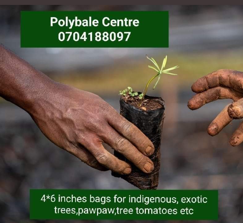Seedling bags now available.0721880945
