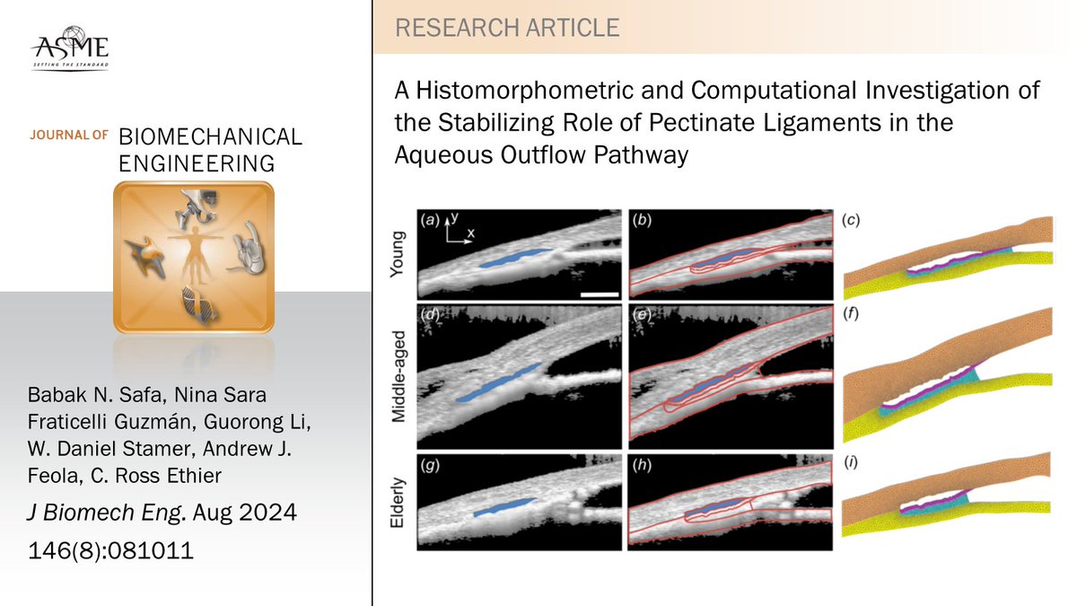 JBME Editors tweet media