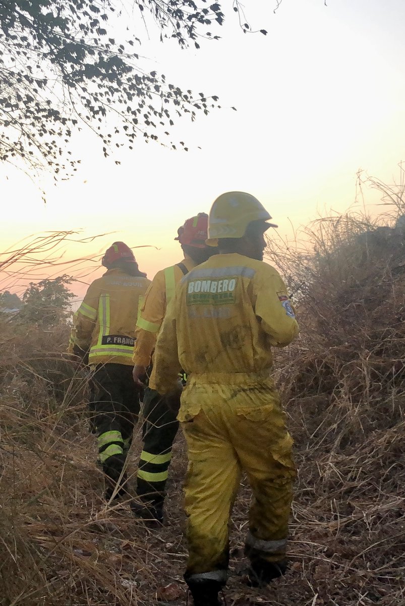 forestalesgye's tweet photo. Alarma 2 Incendio Forestal en el cerro Santa Ana https://t.co/WG49tCDM6I
