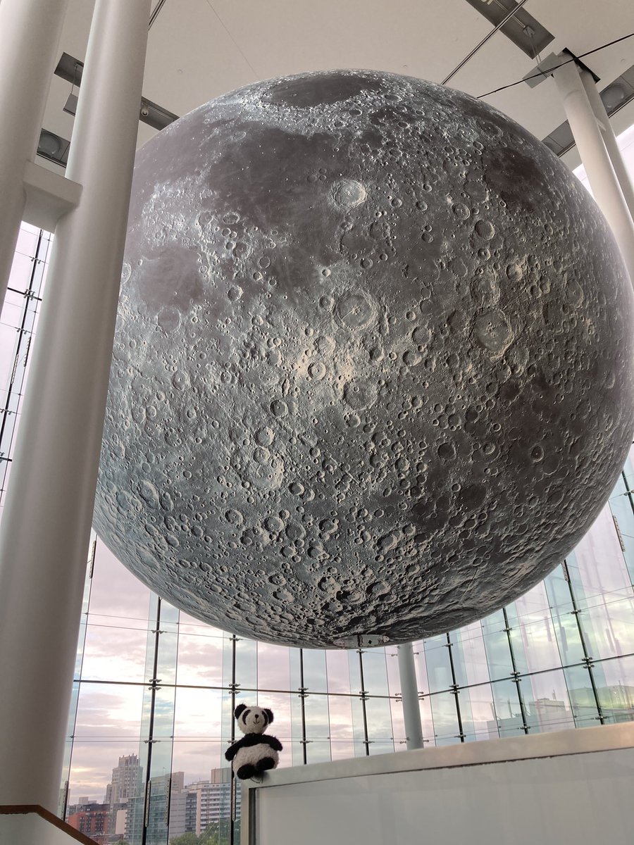 Adventure_Gauss's tweet photo. Had a fun time tonight at the Canadian Museum of Nature! I got to see the bug adventure exhibit. Adventures are great! I also got to see a robo bee. @MuseumofNature #bugAdventure #robobee #museumofNature #bugs #pandaAdventure https://t.co/5UCaJmahQo