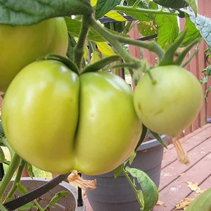 #NewProfilePic https://t.co/BKbFmDyJtj<a href="/tag/newprofilepic"class="tags">#NewProfilePic</a>