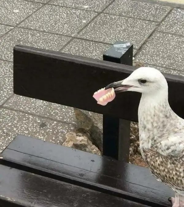 Agatha Chocolats tweet media