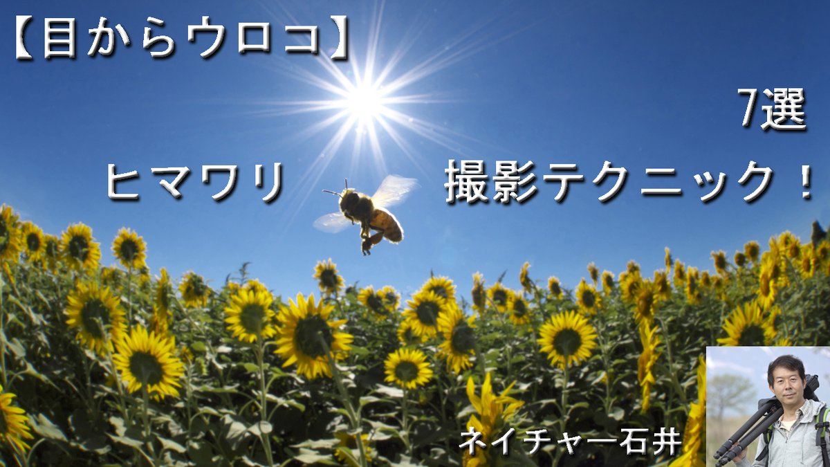 youtubeに【目からウロコ】ヒマワリ撮影テクニック　7選をUPしました。
ヒマワリ撮影に行く前に参考にしてくださいね♪
youtube.com/watch?v=MozZnT…