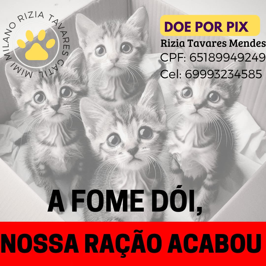 rizia_mendes's tweet photo. Boa noite Amicats https://t.co/NBYofOavZD
