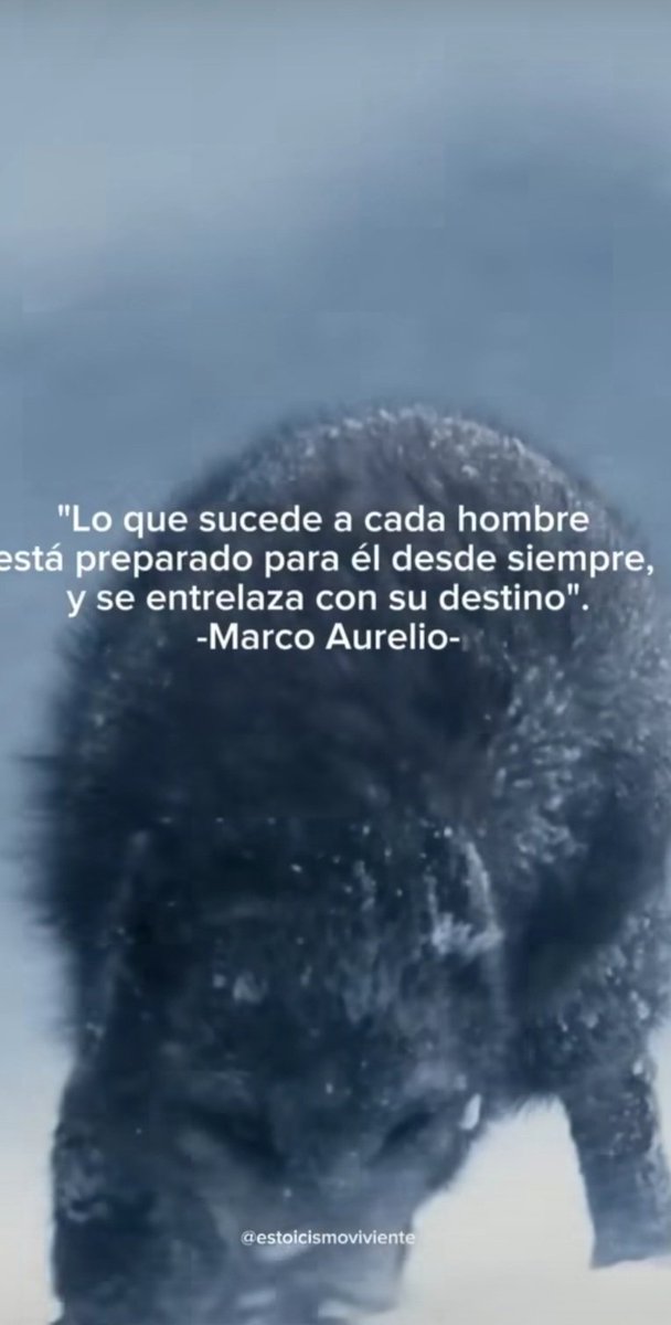 Julian_Ramirez3's tweet photo. Ese tiempo en el coche, te quedas unos  minutos antes de irte, sin duda, un espacio especial de reflexión y autoconsciencia. Al final del día, nuestra mente a menudo se encuentra más libre de distracciones, permitiéndonos evaluar con claridad nuestras experiencias y emociones. https://t.co/w69GmrDs8c