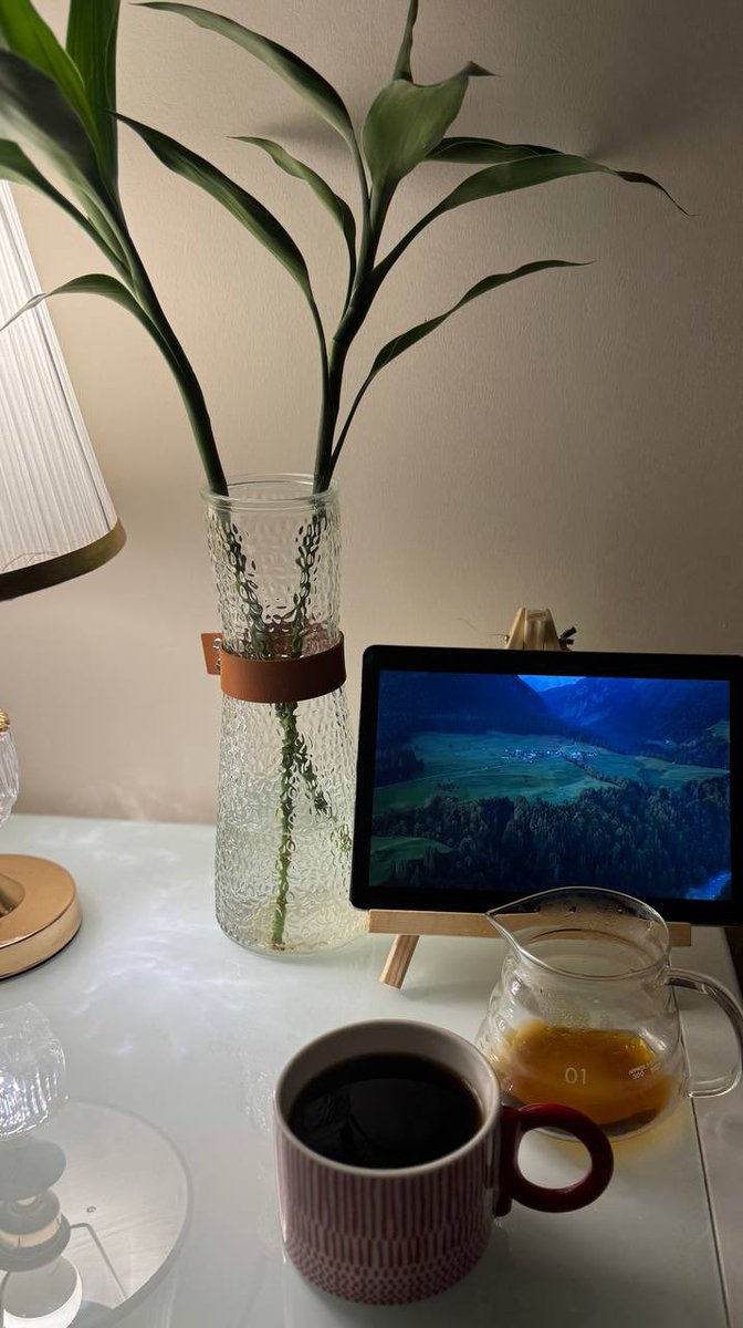 حياتي ليست مثالية .. لكنني في نهاية اليوم أجمع كل اللحظات السعيدة وأعرضها امامي بحفاوة القانعة وتأمل الراضي وسعادة المكتفي ..🤍..
#صباح_الخير_والسعادة