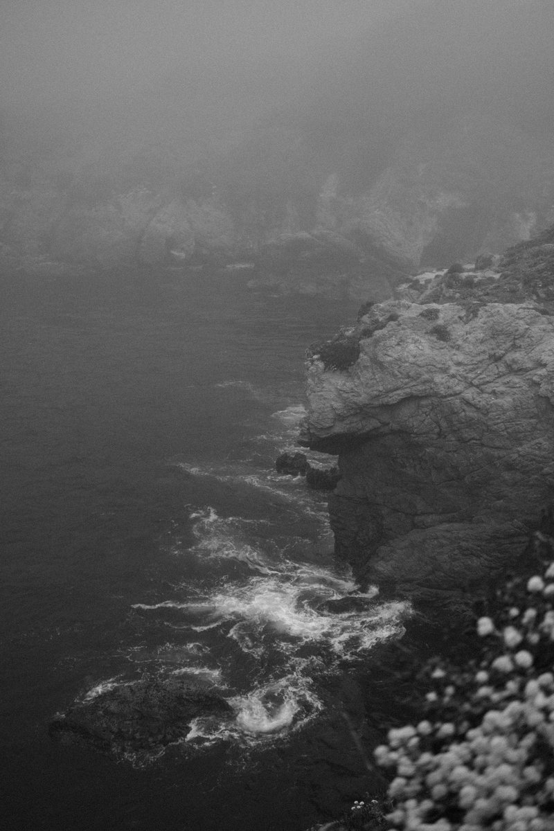 Foggy day on the California Coast