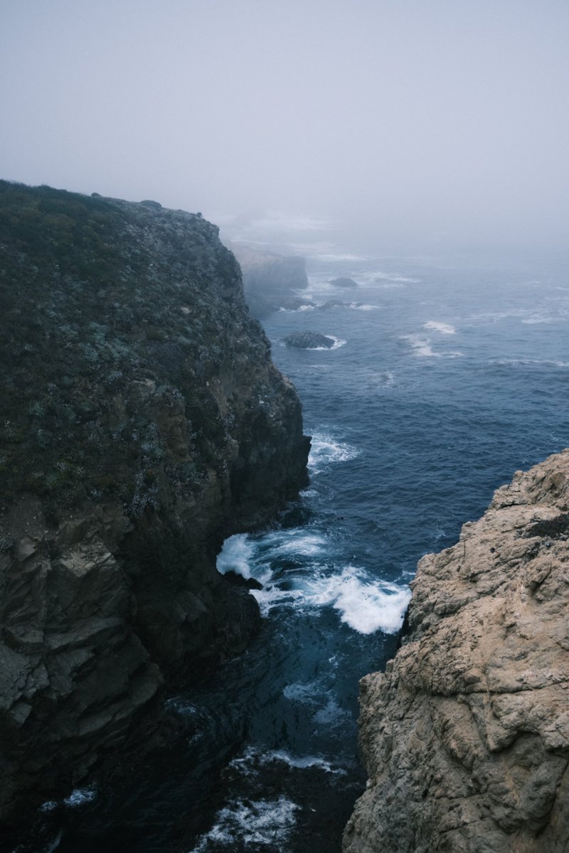 ejgonzalez45_'s tweet photo. Foggy day on the California Coast https://t.co/YsviXSCM0r