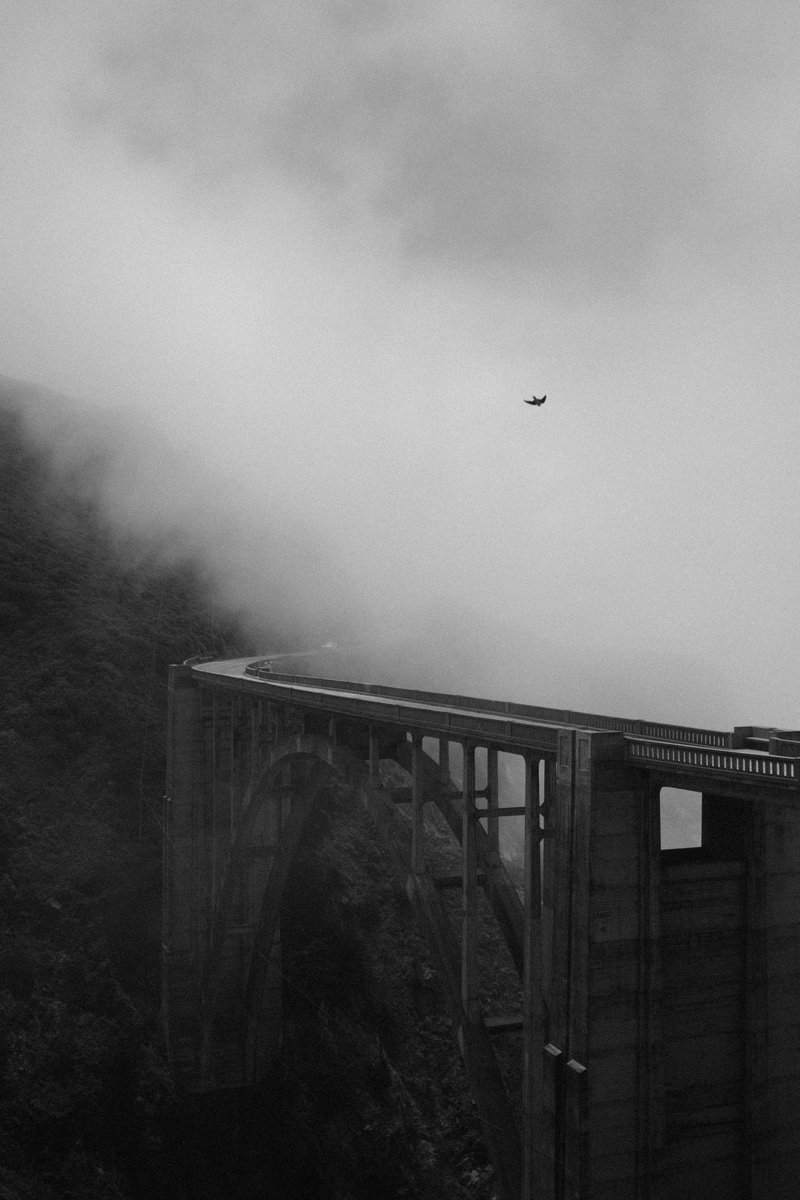 ejgonzalez45_'s tweet photo. Foggy day on the California Coast https://t.co/YsviXSCM0r