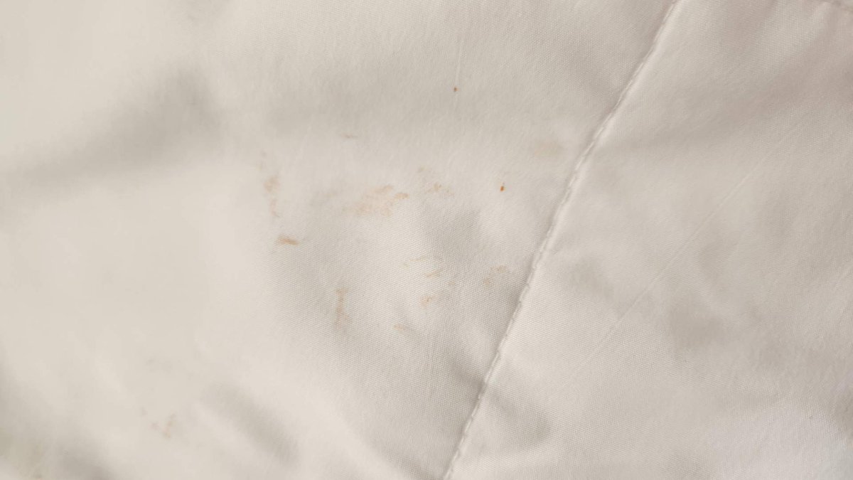 DuragSwag77's tweet photo. I'm more than disgust and unsatisfied with how our hotel room away 7 hours on vacation with blood and stains on bed sheets and covers that my KIDS would have had to sleep in. it is more than unfit for a children or any one to stay in a room under these conditions.@DaysInnDestin https://t.co/pCdiLBMAyg