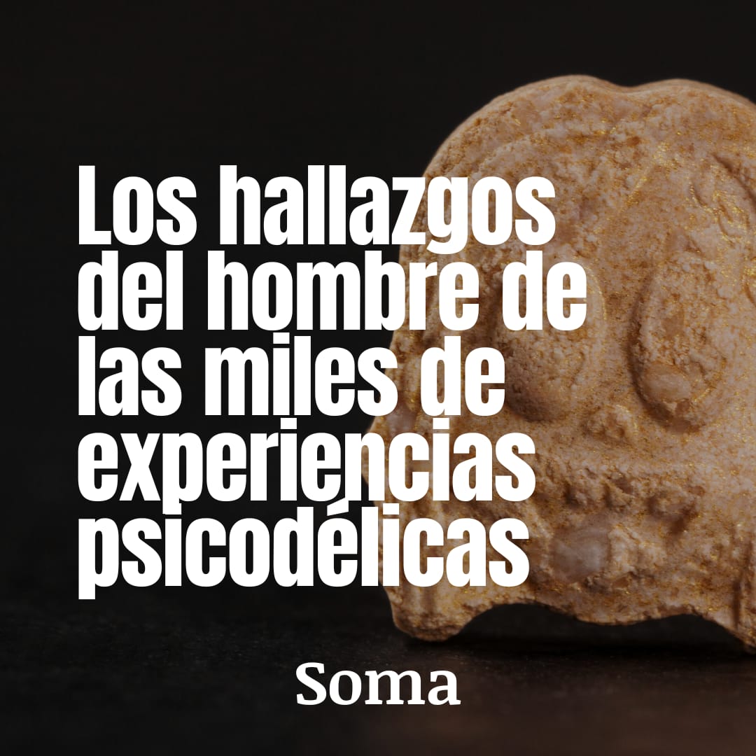 proyecto_soma's tweet photo. 👾🧙🏻♂️👾 Lee: La última entrevista de Alexander Shulgin. En @VICENews >>> https://t.co/JICHQKVJi0 Imagen: Canvas
#MDMA #alexandershulgin #psicodelicos https://t.co/qJP8PQN89x