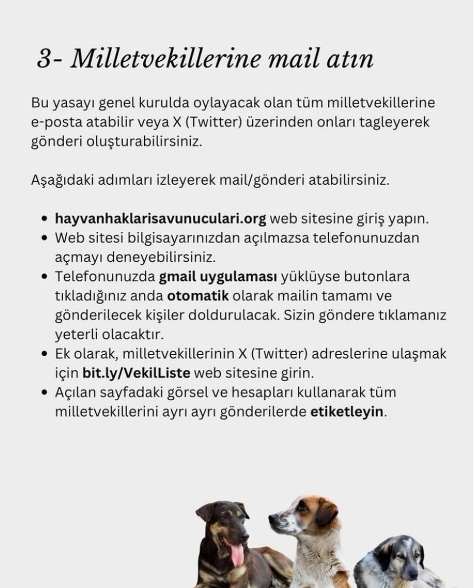 Mustafa BARAK (@mustafabarakk) on Twitter photo 