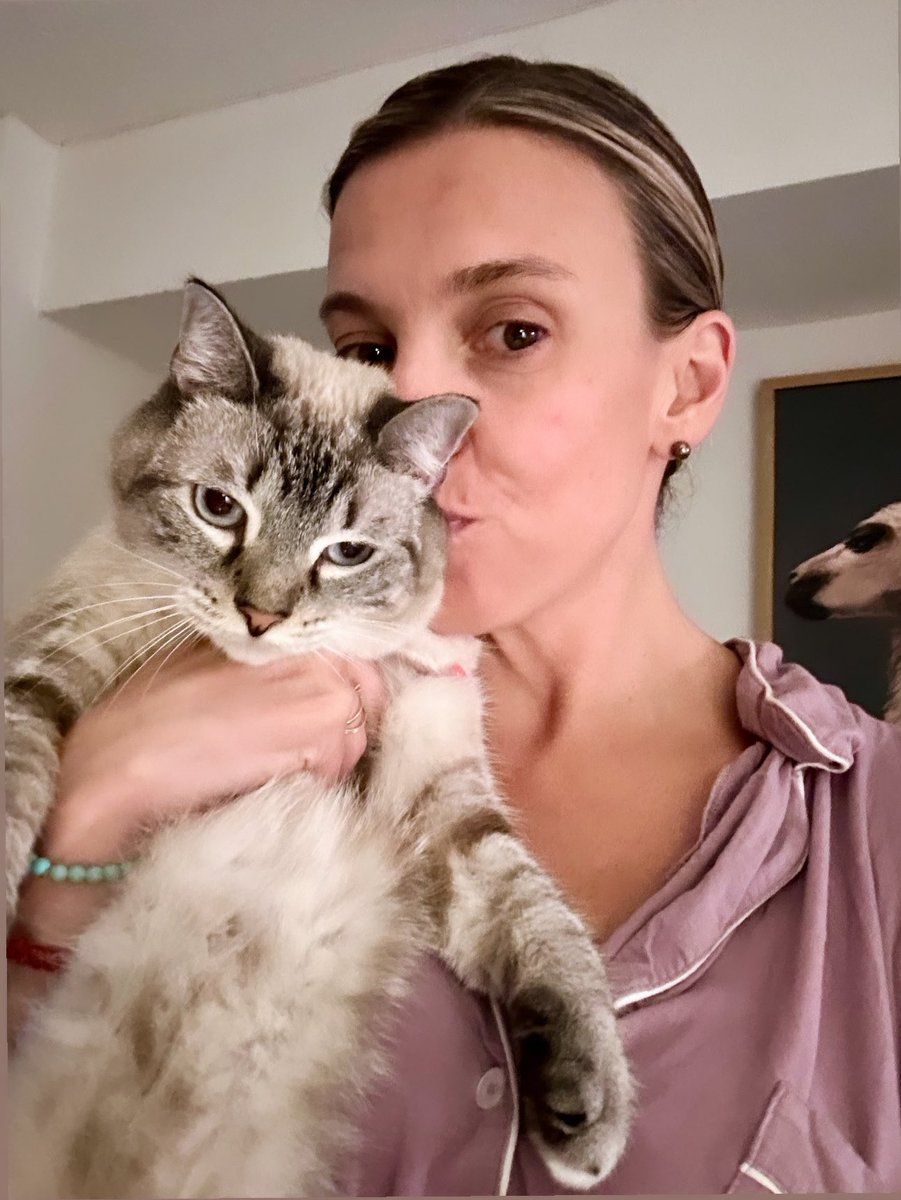 albe_sol's tweet photo. Cat lady 💙😻 #Kamala2024 #vote https://t.co/wOrIYqN4n5