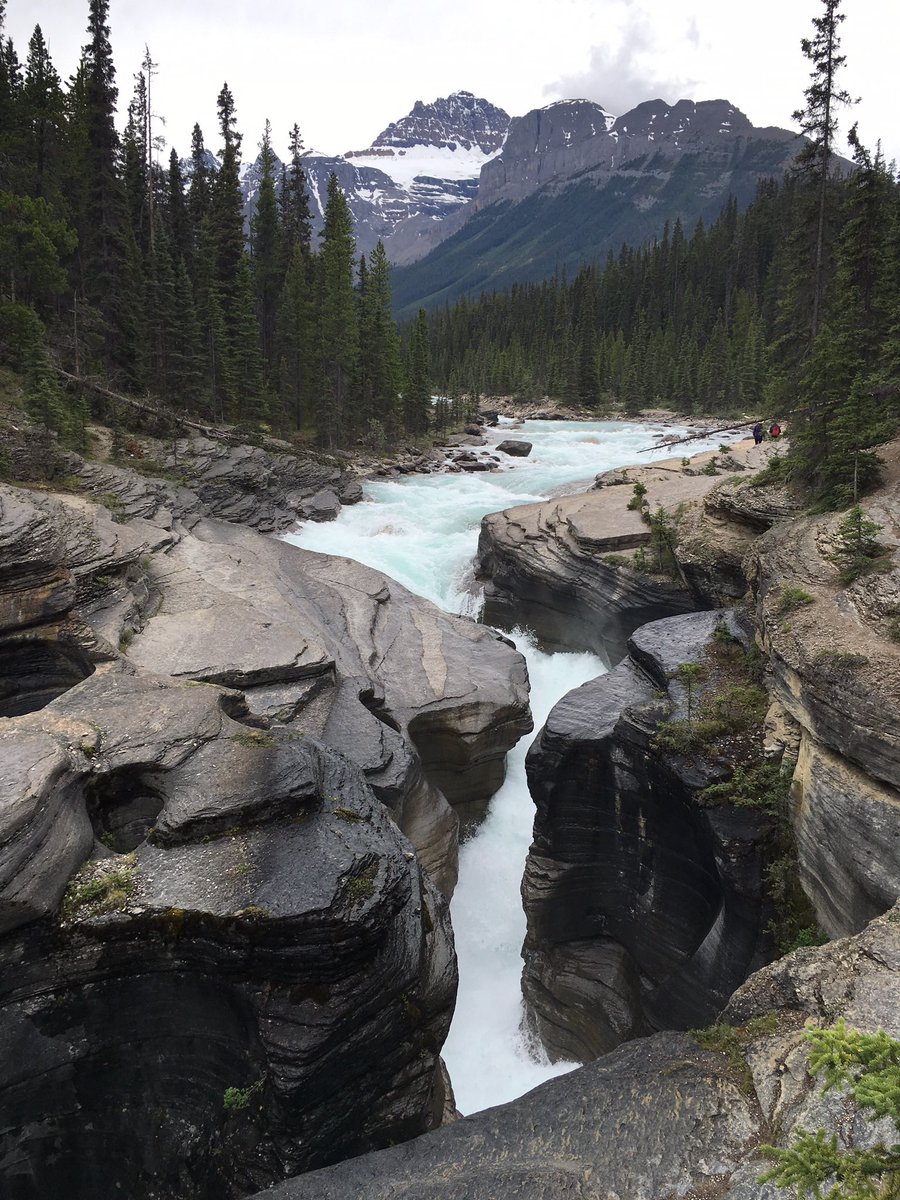 Carol Tonhauser tweet media