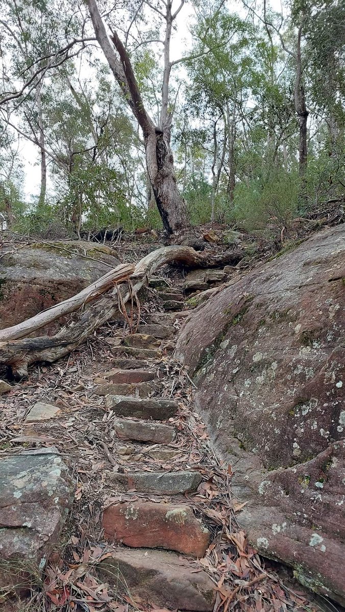 Sandhu_Kdeep1's tweet image. ਹਾਏ ਪੈਂਡੇ ਲੰਮ-ਸਲਮਲੜ੍ਹੇ ਤੇ  ਪੌਡਾ-ਪੌਡਾ ਠਹਿਰ 
ਨਾ ਇਹ ਸਾਡੇ ਪੈਂਡੜ੍ਹੇ ਤੇ ਨਾਹੀਂਓ ਅਸਾਡੀ ਠਹਿਰ

ਇੱਕ ਡਰ ਜਿੰਦੇ ਓਟੜਾ ਇੱਕ ਕੀ ਆਖਣਗੇ ਲੋਕ
ਘੁੱਪ ਸਿਆਹੀ ਵਿਛ ਗਈ ਮੁਕਦਾ ਜਾਂਦਾ ਪਹਿਰ
✍️ਦੀਪ ਸੰਧੂ 🫶😇
#Poetry